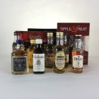 Assorted Minis Blends x 16 Including Grants Sets 5cl